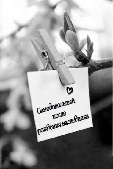 Самодовольный после рождения наследника в богатой семье - обложка ранобэ читать онлайн