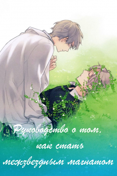 Руководство о том, как стать межзвездным магнатом - обложка ранобэ читать онлайн