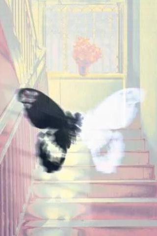 Кокон - обложка ранобэ читать онлайн