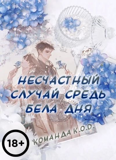 Несчастный случай средь бела дня [❤️] [Завершено✅] - обложка ранобэ читать онлайн
