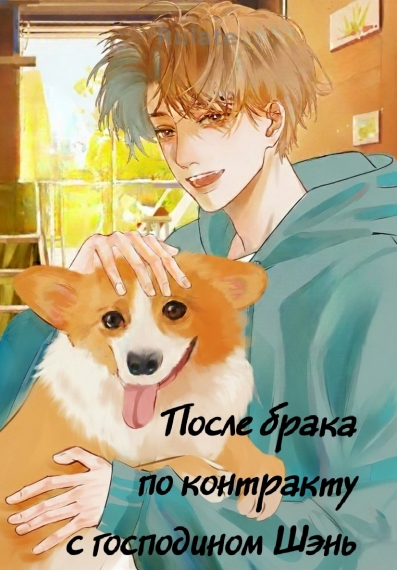 После брака по контракту с господином Шэнь ✅️ - обложка ранобэ читать онлайн