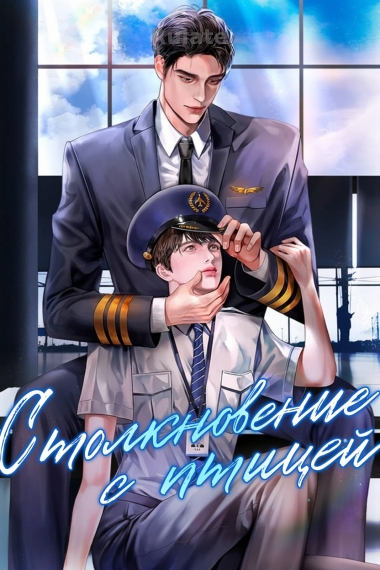 Столкновение с птицей - обложка ранобэ читать онлайн