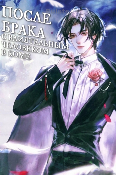 После брака с влиятельным человеком в коме - обложка ранобэ читать онлайн