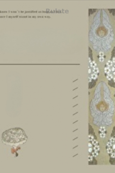 Маленькая звездочка Платона - обложка ранобэ читать онлайн