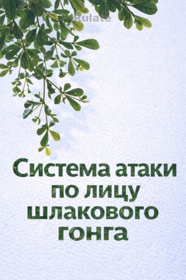 Система атаки по лицу шлакового гонга [💗] - обложка ранобэ читать онлайн