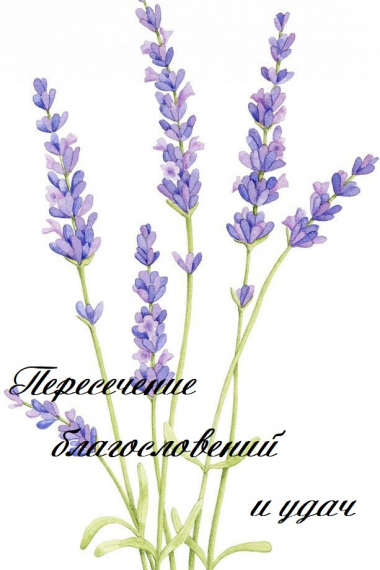 Пересечение благословений и удач - обложка ранобэ читать онлайн