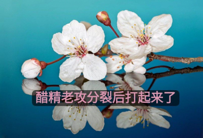 После распада уксусная эссенция начала атаку. - обложка ранобэ читать онлайн