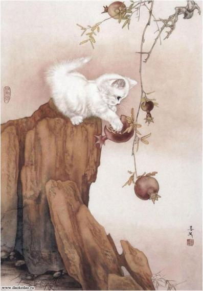 Божественная когтеточка Белого Кота [❤️] ✅ - обложка ранобэ читать онлайн