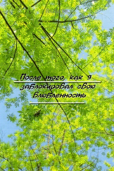 После того, как я заблокировал свою влюбленность - обложка ранобэ читать онлайн