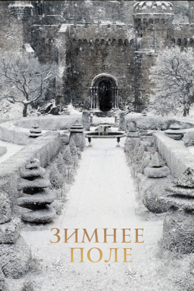 Зимнее поле [❤️]✅ - обложка ранобэ читать онлайн