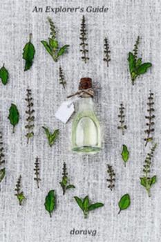 Записки Путешественника [❤️] ✅ - обложка ранобэ читать онлайн