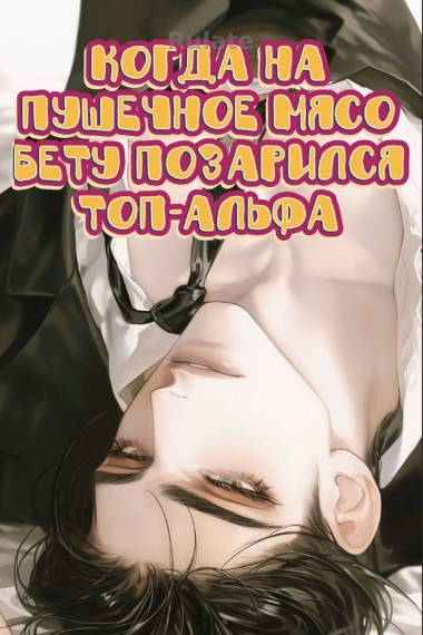 Когда на пушечное мясо Бету позарился топ-Альфа - обложка ранобэ читать онлайн