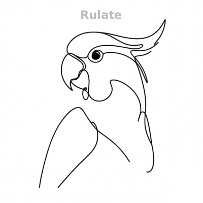 Я стал знаменитым, когда превратился в попугая в доме кинозвезды - обложка ранобэ читать онлайн