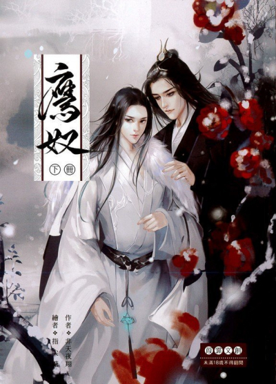 Орлиный страж - обложка ранобэ читать онлайн