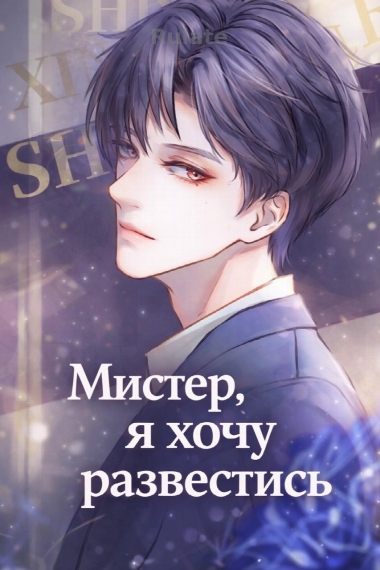 Мистер, я хочу развестись - обложка ранобэ читать онлайн