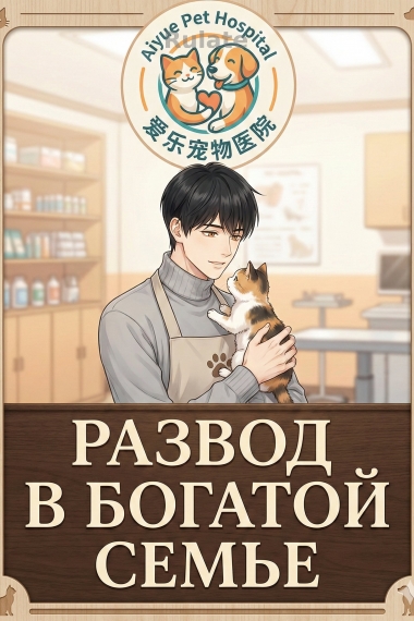 Развод в богатой семье - обложка ранобэ читать онлайн