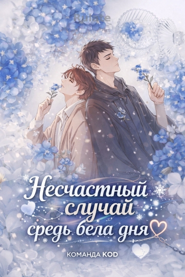 Несчастный случай средь бела дня [❤️] [Завершено✅] - обложка ранобэ читать онлайн
