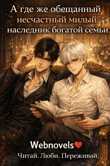 А где же обещанный несчастный милый наследник богатой семьи - обложка ранобэ читать онлайн