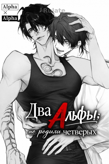 Два Альфы, но родили четверых - обложка ранобэ читать онлайн