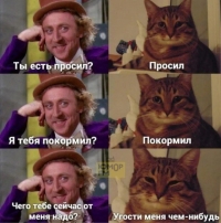 Коллекция